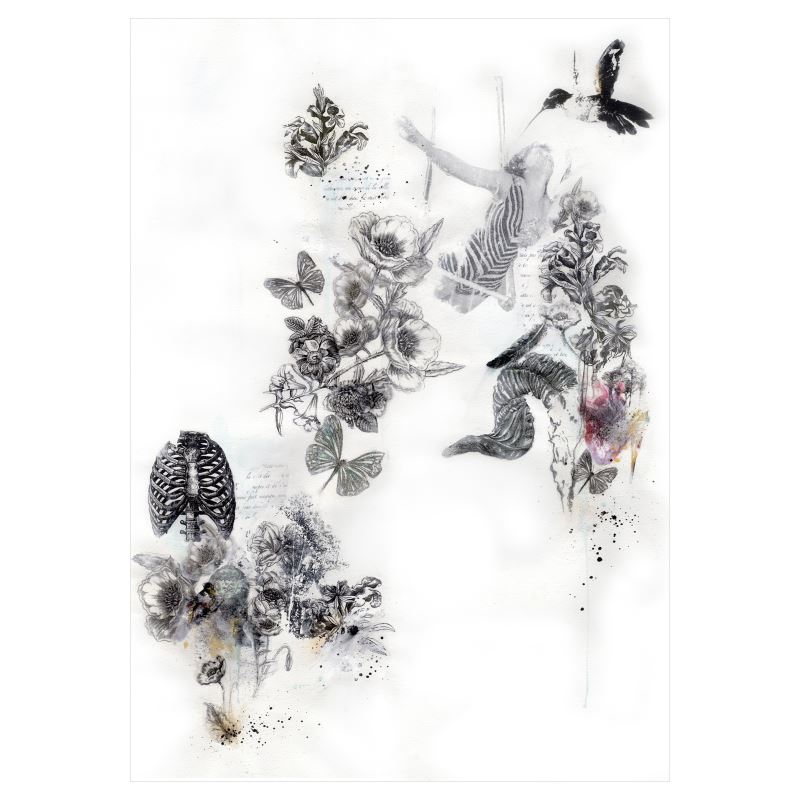 A2  Sized Art Prints   Adoni Rising