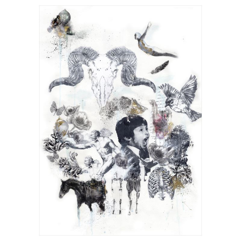 Custom Sized Art Prints.    Cratus Calling