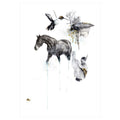 A2   Sized Art Prints    Darwin’s Dream in colour