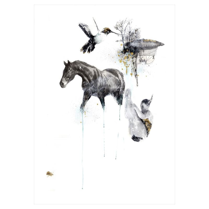 A2   Sized Art Prints    Darwin’s Dream in colour