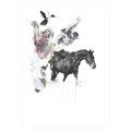 A2 Sized Art Prints  Darwin’s Evolution of the female species