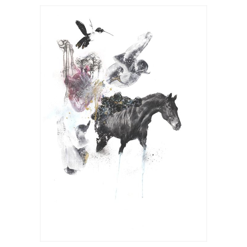 A2 Sized Art Prints  Darwin’s Evolution of the female species