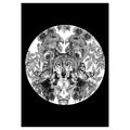 A2 Sized Art Prints    Wolf
