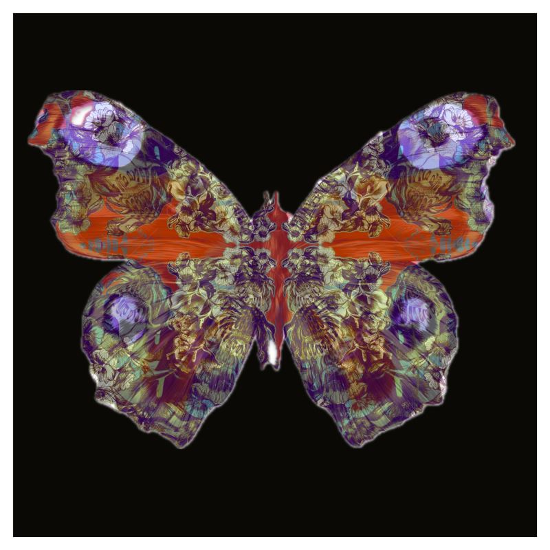 42cm x 42cm Sized Art Prints  Papillon Rouge 1