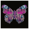 42cm x 42cm Sized Art Prints  Papillon Rose 1
