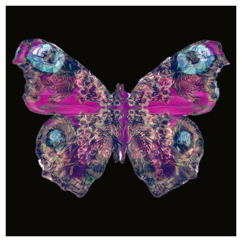 42cm x 42cm Sized Art Prints  Papillon Rose 1